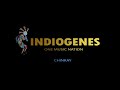 Indiogenes - Chinkay