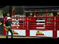 Brad Paisley Bucked Off Live From The San Antonio Rodeo mp3