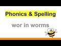 Phonics and Spelling Quiz: The Sound 'wer'