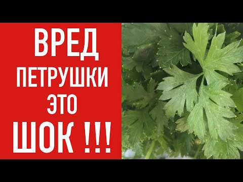 ВРЕД ПЕТРУШКИ ! ВЫ В ШОКЕ !!!