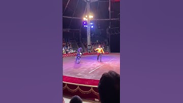 Xiếc gấu chạy xe máy tại Công viên Gia Định #xiếc