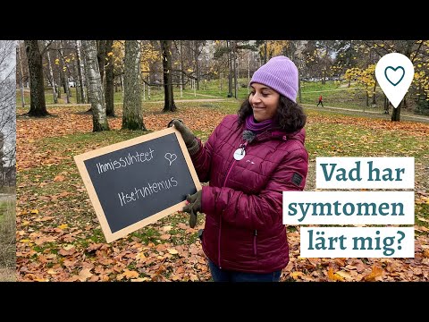 Erfarenheter - Vad