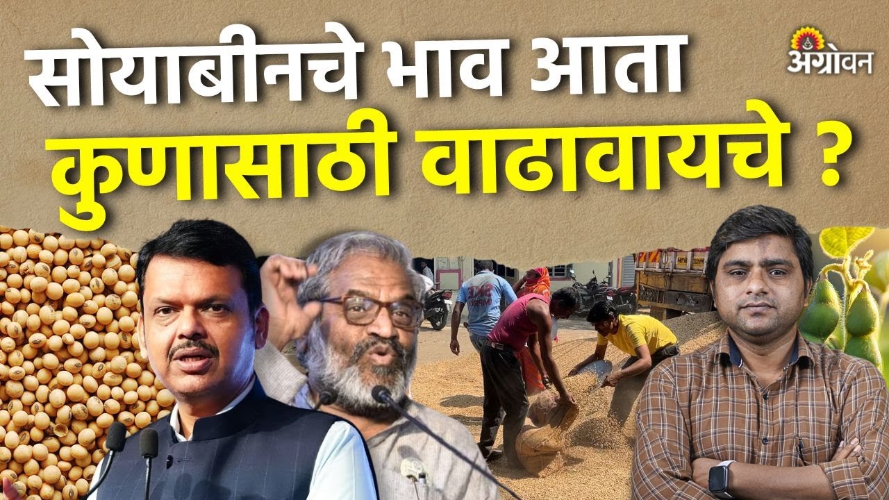 Soybean Rate: सोयापेंड निर्यातीसाठी अनुदान देण्याची मुख्यमंत्र्यांची केंद्राकडे मागणी | Agrowon