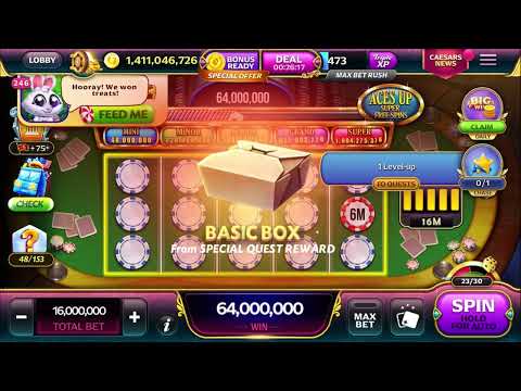 CASINO LAS VEGAS,#emotion #gatos #bone #lovedog