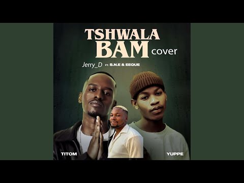 Jerry_D - Tshwala Bam cover
