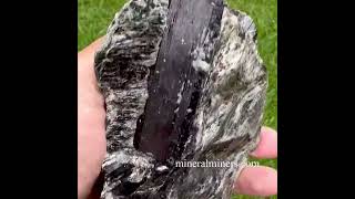 Black Tournaline in Schist item tblm643 is sure to sparkle β¨ @MineralMinerscom