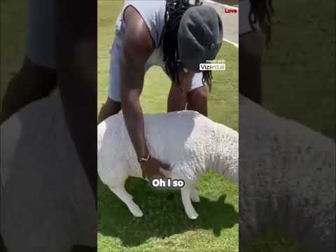 Video by Brian Correia