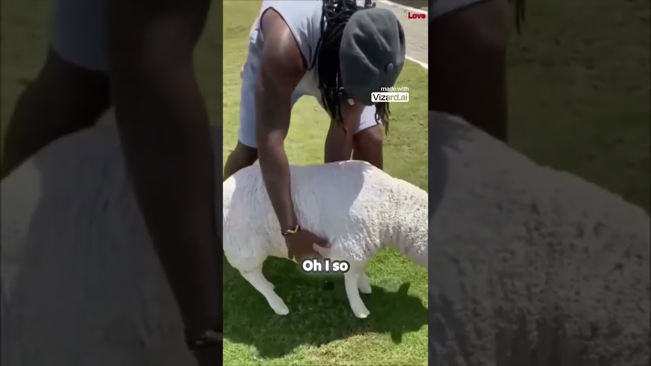 Video — Brian Correia YouTube video