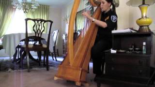 Security Guard Playing the Harp
