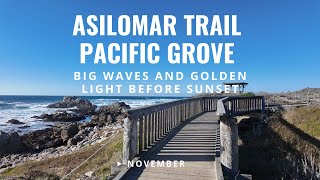 [4K] Asilomar Trail, Pacific Grove - Majestic Waves and Asilomar State Beach before Sunset screenshot 2