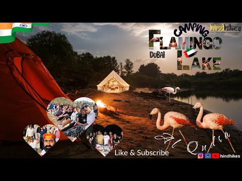 Camping Under the Stars in the Dubai Desert