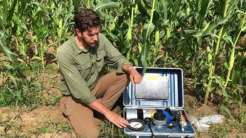 Measuring Plant Water Potential