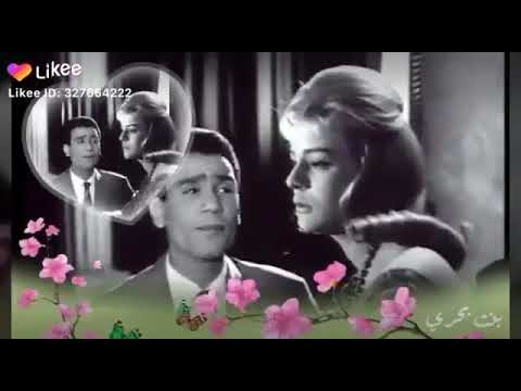 قول ياقلبي قول يا املي