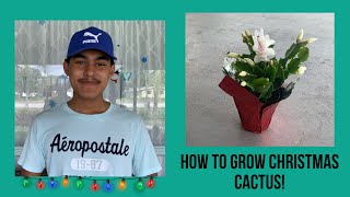How To Grow Christmas Cactus??S:2,Ep.22//Ultimate Gardening