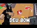 TENTANDO CONSEGUIR UM PET DE 500M NO PVP PRA VOLTAR PRO TOP REGIONAL… DEU BOM? 😱