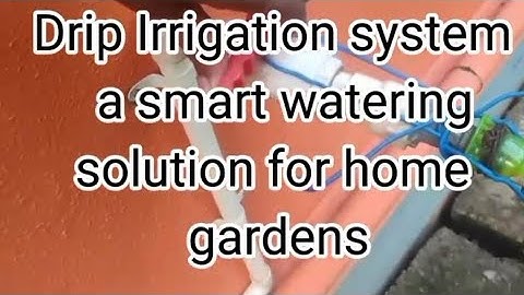 Drip Irrigation System – A Smart Way to Water Plants
