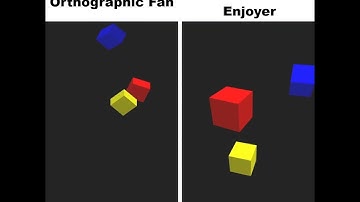 Average Orthographic Fan VS Perspective Enjoyer