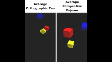 Average Orthographic Fan VS Perspective Enjoyer