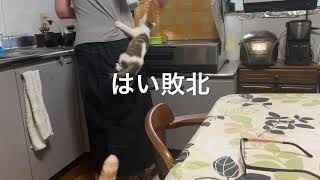 学ぶ事は素晴らしいけどそこは学ばないで