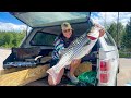 Catching and cooking striped bass in my truck camper camp catch clean cook