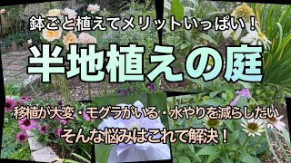 【夏に強い！半地植えの日向庭】植えっぱなしOK/暑さに強いオススメ低木と宿根草/庭をリニューアル