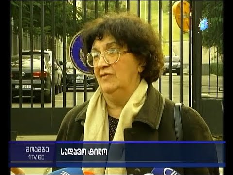 ვან დეიკის სადავო ტილო - რა მასალები გადასცა ეკა აბაშიძემ საგამოძიებო სამსახურს