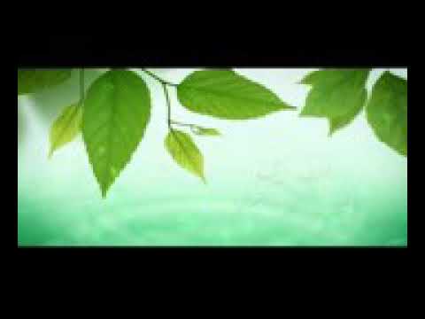 محطه بيك تجرح العصائب اني