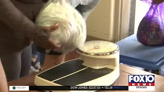 Augusta Evans School's bead drive kicks off