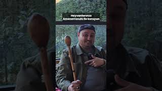 Hayvanlarınızı Amenerrasulü Ile Koruyun - İsmail Ernur Yılmaz