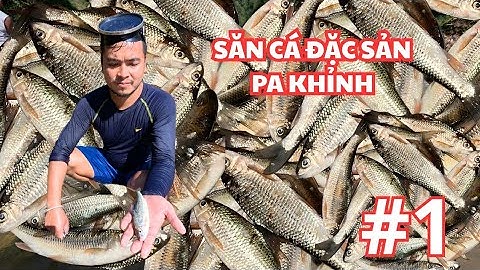 Hành Trình Săn Cá Pa Khỉnh Bằng Chài Truyền Thống – Khám Phá Mường Cada | MUONGCADA FOOD | p1