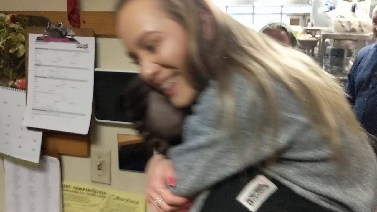 Katie katt gets pied last day at Rocksalt