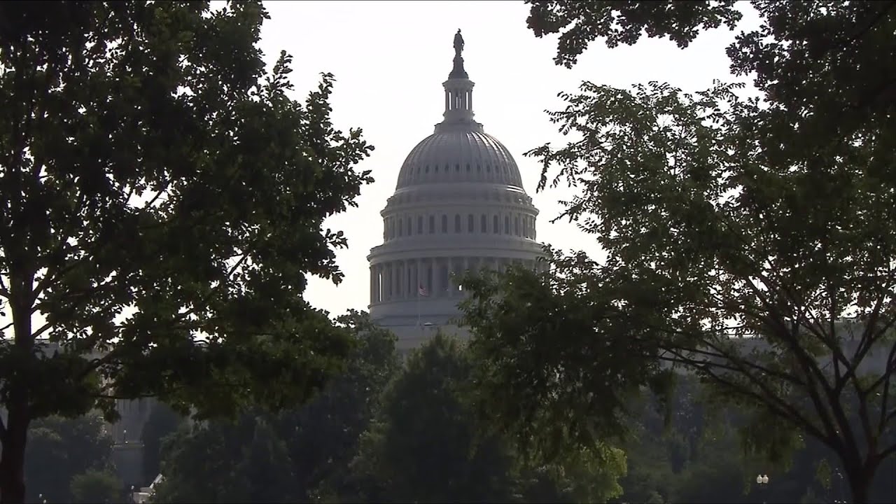 Virginia is sixth in the nation with the most pending immigration cases, data shows