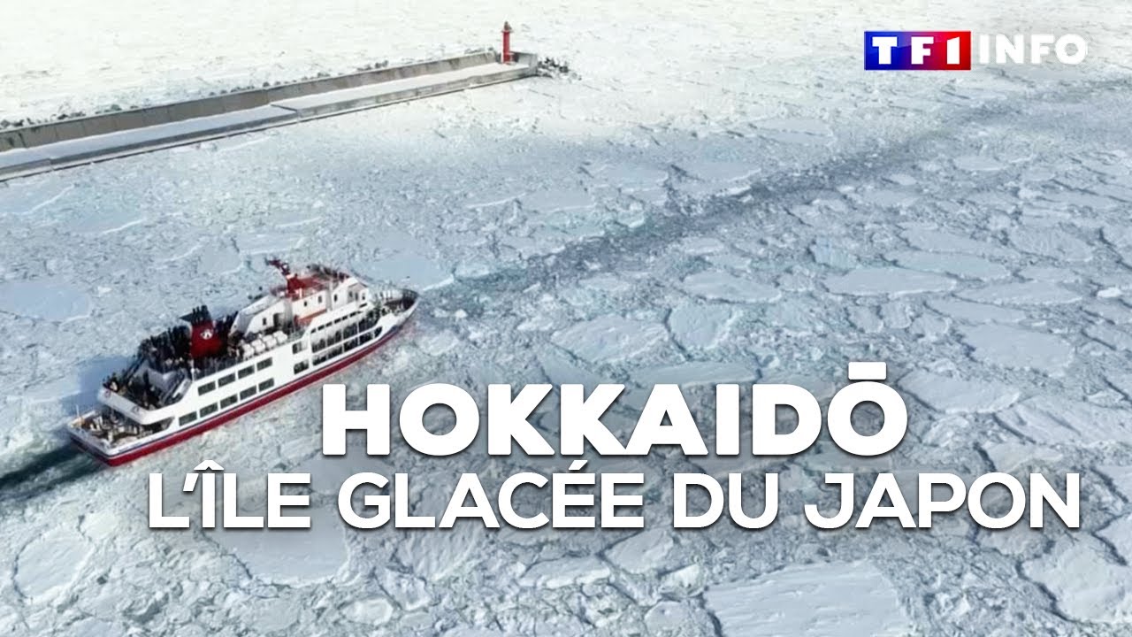 À la découverte d'Hokkaidō, l'île glacée du Japon｜TF1 INFO