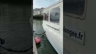 Nettoyage des pontons 2026