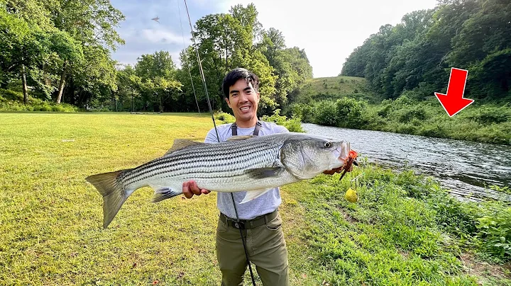 MONSTER FISH Live in this TINY CREEK!!!! (This WASN'T even my BIGGEST CATCH)