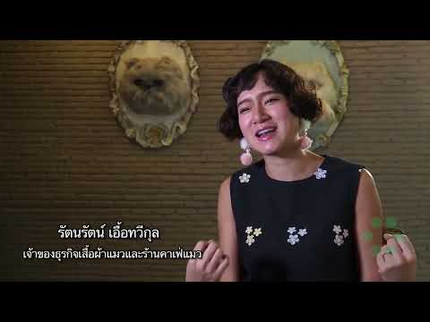 dubbing สารคดี ตอน  เรื่องแมวแมว