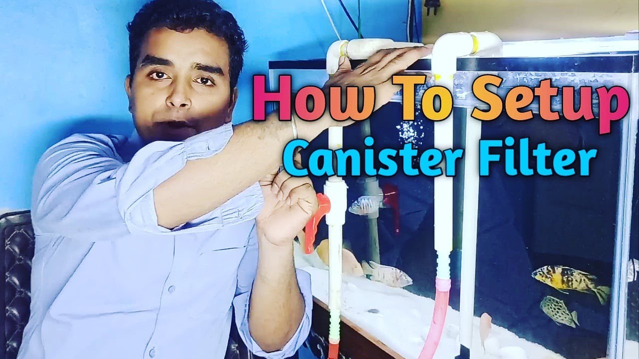 How to setup Canister filter/DIY Canister Filter - YouTube