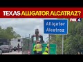 Sen. Cornyn supports 'Alligator Alcatraz' for Texas