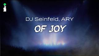 DJ Seinfeld, ARY - Of Joy // LYRICS [Electronic/Garage]