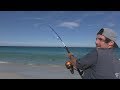 HECTIC Shark Fishing Session with Ryan Stella Fishing