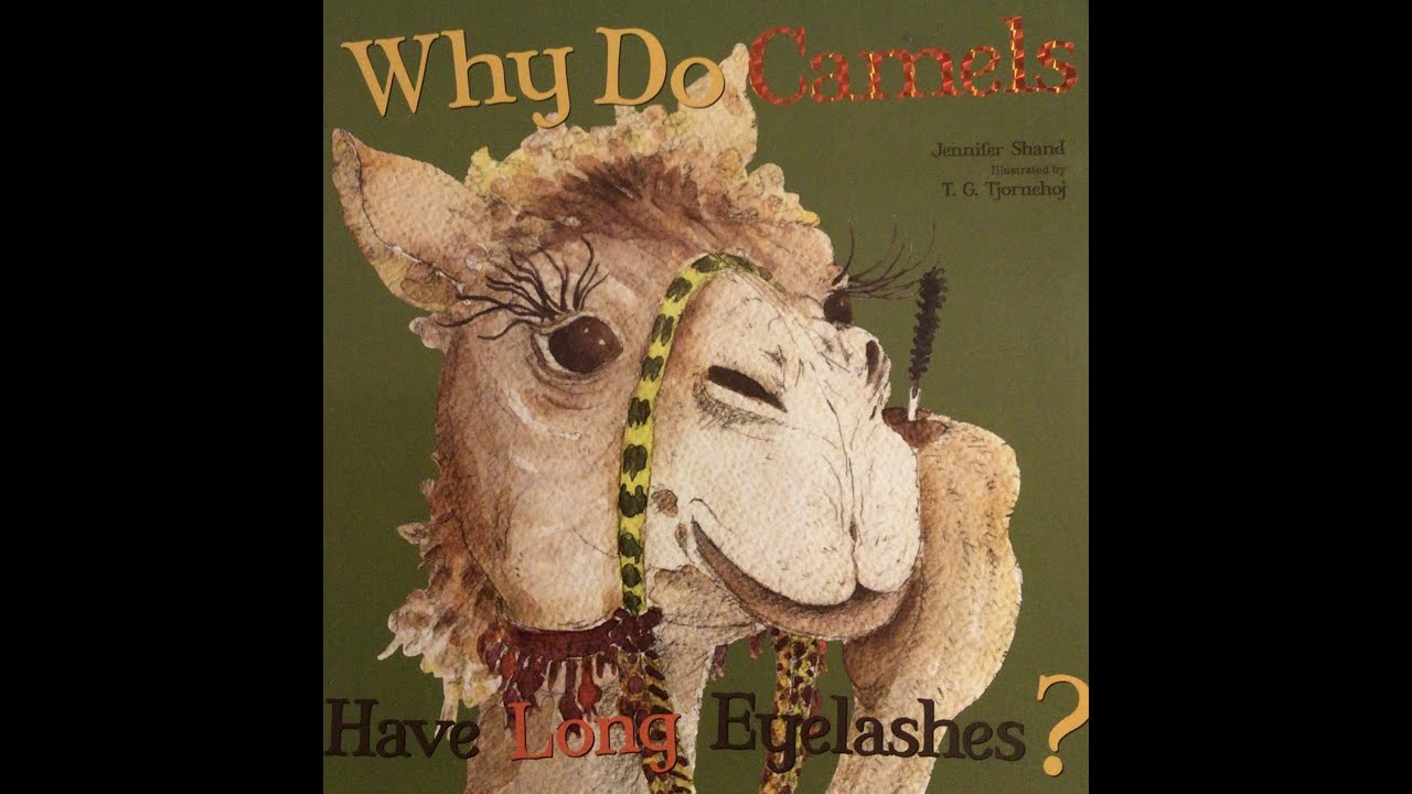 Story time (Why Do Camels Have Long Eyelashes?)