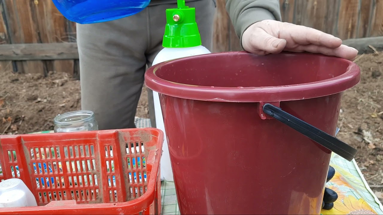 ОПРЫСКИВАНИЕ ДЕРЕВЬЕВ И КУСТАРНИКОВ МОЧЕВИНОЙ И МЕДНЫМ КУПОРОСОМ. 2021 ГОД. БУРЯТИЯ.