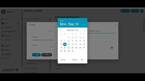 How to use the GBVIMS+ flagging for supervisors
