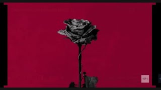 blackbear - dirty laundry ( Clean-Lyrics)