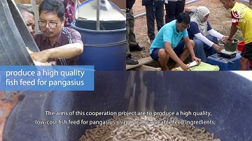 The Development of Self-Sufficient Feed Program for Pangasius, South Sumatera (Eng Sub -socialmedia)