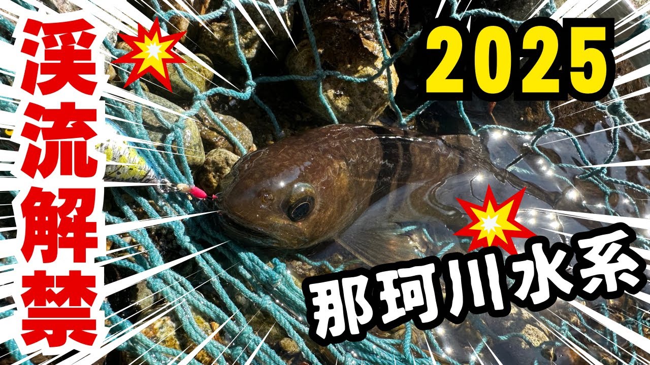 【渓流ルアー】2025 渓流解禁 那珂川水系 源流に行ってきたよ！