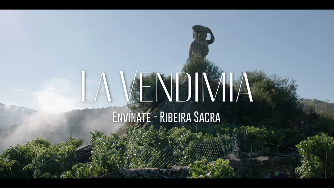La Vendimia Episode 1: Envínate