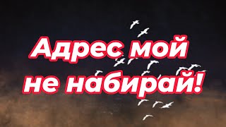 картинка: ART INTEL - Адрес мой не набирай!
