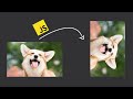Rotate Images with JavaScript: Complete Guide (CSS, Canvas &amp; SDK)