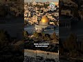 🎨 Gazze sadece gri değildi… || 🎨 Gaza was never gray.